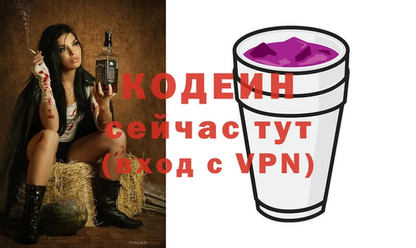 соль ск Козловка
