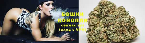 соль ск Козловка