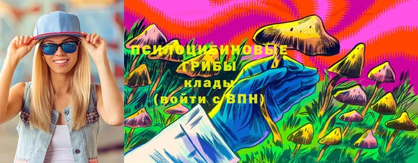 соль ск Козловка