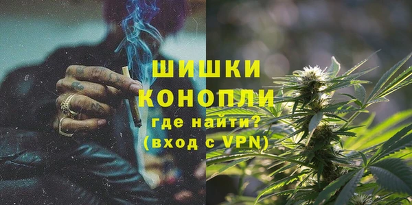 соль ск Козловка