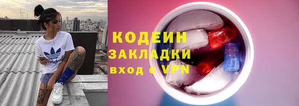 соль ск Козловка