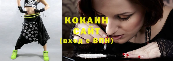 соль ск Козловка