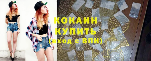 соль ск Козловка
