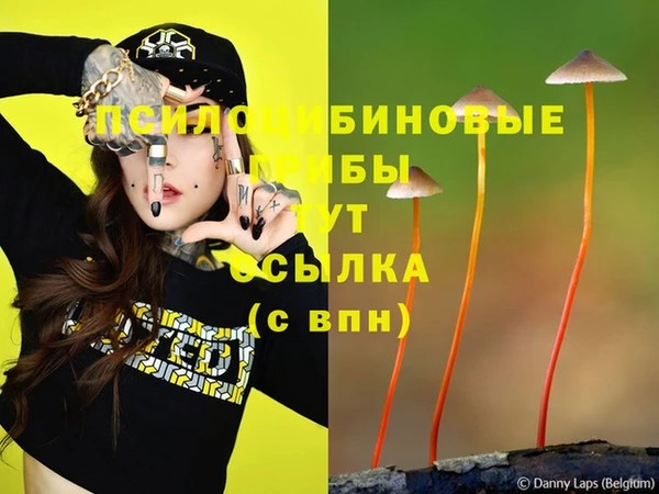 дистиллят марихуана Кодинск