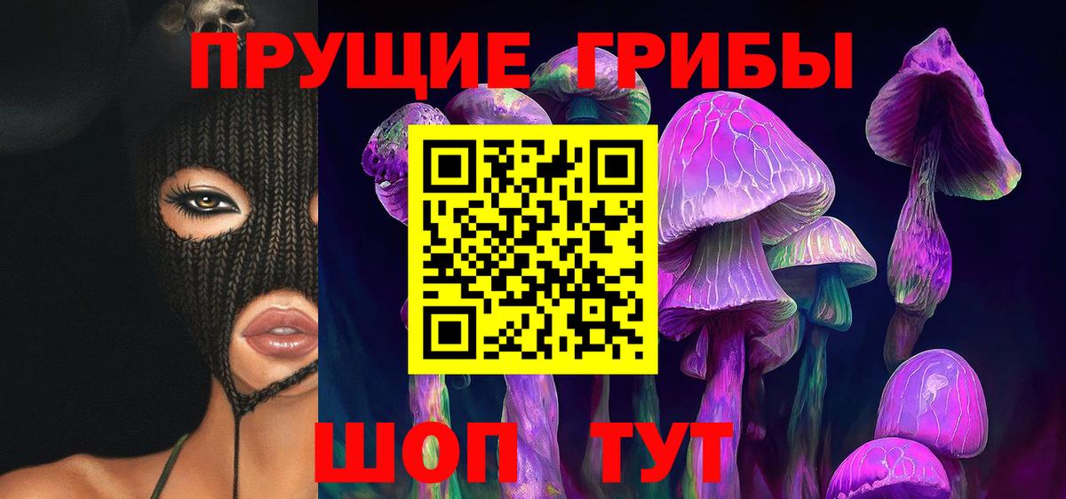 Псилоцибиновые грибы Psilocybe Севастополь